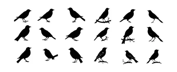 Fågelsilhuetter Svart Fågel Kontur Former Isolerade Vit Bakgrund Vektorillustration — Stock vektor