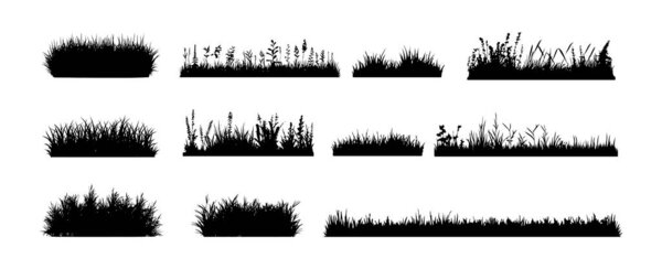 Grass field border isolated on white background. Silhouette garden grass lawn horizontal elements vector illustration.