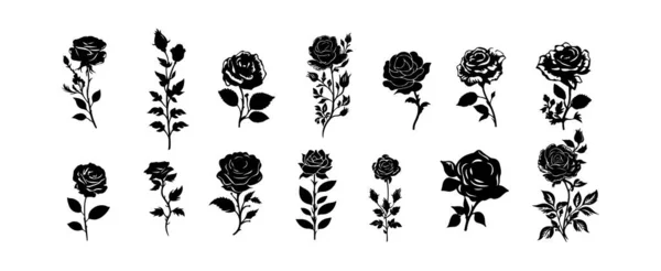 Mooie Roos Bloemen Silhouet Set Geïsoleerd Witte Achtergrond Natuurlijke Bloemen — Stockvector