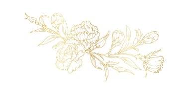 Altın karanfilli çiçek çizgisi beyaz arka planda izole edilmiş. Davetiye, düğün, duvar kağıdı, baskı şablonu, vektör illüstrasyonu için lüks çiçek tasarımı unsurları.