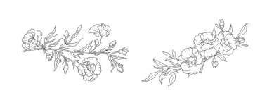 Karanfil çiçeği aranjmanı beyaz arka planda. Düğün için siluet botanik el çizimi ögesi, davet çerçevesi tasarımı, vektör illüstrasyonu.