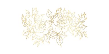 Beyaz arka planda izole edilmiş altın gül çizgisi. Davetiye, düğün, duvar kağıdı, baskı şablonu, vektör illüstrasyonu için lüks güller çiçek tasarımı unsurları.