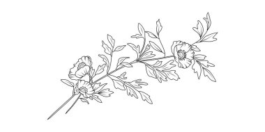 Beyaz arka planda gelincik çiçek aranjmanı çizimi. Düğün için siluet botanik el çizimi ögesi, davet çerçevesi tasarımı, vektör illüstrasyonu.