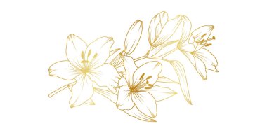 Beyaz arka planda izole edilmiş altın zambak çizgisi. Davetiye, düğün, duvar kağıdı, baskı şablonu, vektör illüstrasyonu için çiçek tasarımı unsurları.