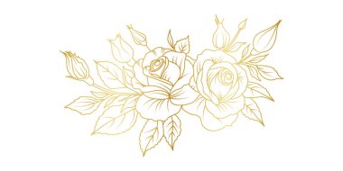 Beyaz arka planda izole edilmiş altın gül çizgisi. Davetiye, düğün, duvar kağıdı, baskı şablonu, vektör illüstrasyonu için lüks güller çiçek tasarımı unsurları.