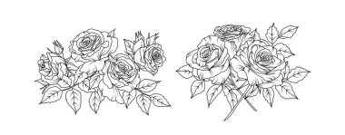 Beyaz arka planda gül çiçeği düzenleme çizgisi. Siluet gülleri botanik el çizimi unsuru düğün, davetiye çerçevesi tasarımı, vektör illüstrasyonu.