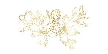 Altın manolya çiçekleri beyaz arka planda izole edilmiş. Davetiye, düğün, duvar kağıdı, baskı şablonu, vektör illüstrasyonu için lüks manolya çiçek tasarımı unsurları.