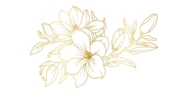 Altın manolya çiçekleri beyaz arka planda izole edilmiş. Davetiye, düğün, duvar kağıdı, baskı şablonu, vektör illüstrasyonu için lüks manolya çiçek tasarımı unsurları.