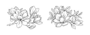 Magnolia çiçek aranjmanı beyaz arka planda. Siluet manolya botanik el çizimi unsuru düğün, davetiye çerçevesi tasarımı, vektör illüstrasyonu.