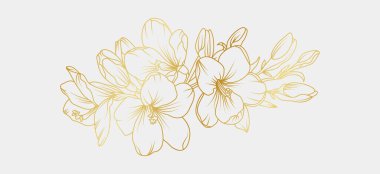 Altın frezya çiçekleri beyaz arka planda izole edilmiş. Davetiye, düğün, duvar kağıdı, baskı şablonu, vektör illüstrasyonu için lüks manolya çiçek tasarımı unsurları.