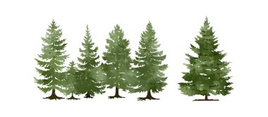 Beyaz arkaplanda izole edilmiş Noel ağacı suluboya vektör çizimi..