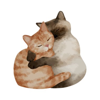 Beyaz arka planda izole edilmiş şirin kedi suluboya. Kitty, sevgililer günü kucaklaşması, sıcak bir çift vektör çizimi..