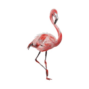 Beyaz arka planda izole edilmiş şirin pembe flamingo suluboya. Çocuk odası egzotik kuş çizgi filmi el çizimi karakter vektör çizimi.