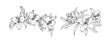 Beyaz arka planda Lily çiçek aranjmanı çizimi. Siluet zambakları düğün için botanik el çizimi ögesi, davetiye çerçevesi tasarımı, vektör illüstrasyonu
