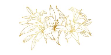 Beyaz arka planda izole edilmiş altın zambak çizgisi. Davetiye, düğün, duvar kağıdı, baskı şablonu, vektör illüstrasyonu için çiçek tasarımı unsurları