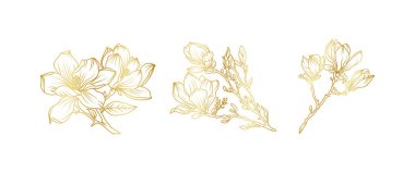 Lüks altın manolya çiçeği arka planı. Çiçek desenli tropikal resim tarzı selamlama, davetiye, düğün kartı, duvar resmi, duvar kağıdı ve baskı için. Vektör illüstrasyonu.