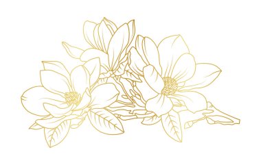 Altın manolya çiçekleri beyaz arka planda izole edilmiş. Davetiye, düğün, duvar kağıdı, baskı şablonu, vektör illüstrasyonu için lüks manolya çiçek tasarımı unsurları.