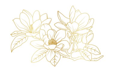 Altın manolya çiçekleri beyaz arka planda izole edilmiş. Davetiye, düğün, duvar kağıdı, baskı şablonu, vektör illüstrasyonu için lüks manolya çiçek tasarımı unsurları.