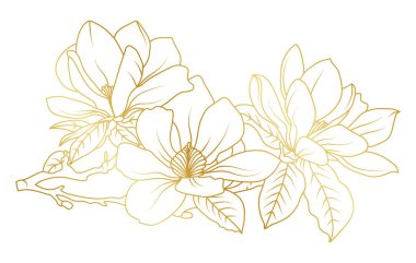 Altın manolya çiçekleri beyaz arka planda izole edilmiş. Davetiye, düğün, duvar kağıdı, baskı şablonu, vektör illüstrasyonu için lüks manolya çiçek tasarımı unsurları.