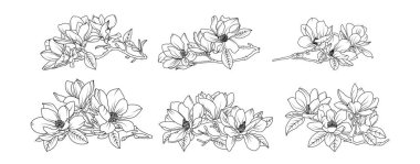 Magnolia çiçek aranjmanı beyaz arka planda. Siluet manolya botanik el çizimi unsuru düğün, davetiye çerçevesi tasarımı, vektör illüstrasyonu.