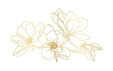 Altın manolya çiçekleri beyaz arka planda izole edilmiş. Davetiye, düğün, duvar kağıdı, baskı şablonu, vektör illüstrasyonu için lüks manolya çiçek tasarımı unsurları.