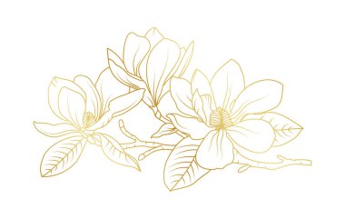 Altın manolya çiçekleri beyaz arka planda izole edilmiş. Davetiye, düğün, duvar kağıdı, baskı şablonu, vektör illüstrasyonu için lüks manolya çiçek tasarımı unsurları.