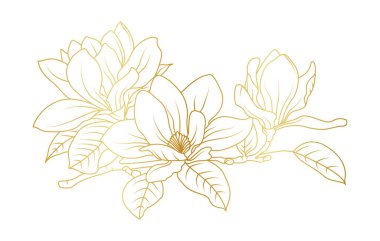 Altın manolya çiçekleri beyaz arka planda izole edilmiş. Davetiye, düğün, duvar kağıdı, baskı şablonu, vektör illüstrasyonu için lüks manolya çiçek tasarımı unsurları.