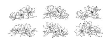 Magnolia çiçek aranjmanı beyaz arka planda. Siluet manolya botanik el çizimi unsuru düğün, davetiye çerçevesi tasarımı, vektör illüstrasyonu.