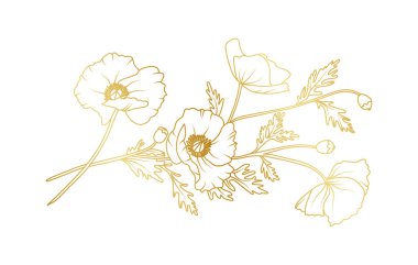 Beyaz arka planda izole edilmiş altın gelincik çiçek çizgisi. Davetiye, düğün, duvar kağıdı, baskı şablonu, vektör illüstrasyonu için lüks gelincik tasarım unsurları.