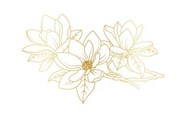 Altın manolya çiçekleri beyaz arka planda izole edilmiş. Davetiye, düğün, duvar kağıdı, baskı şablonu, vektör illüstrasyonu için lüks manolya çiçek tasarımı unsurları.