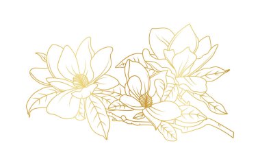 Altın manolya çiçekleri beyaz arka planda izole edilmiş. Davetiye, düğün, duvar kağıdı, baskı şablonu, vektör illüstrasyonu için lüks manolya çiçek tasarımı unsurları.
