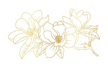 Altın manolya çiçekleri beyaz arka planda izole edilmiş. Davetiye, düğün, duvar kağıdı, baskı şablonu, vektör illüstrasyonu için lüks manolya çiçek tasarımı unsurları.