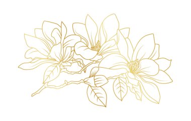 Altın manolya çiçekleri beyaz arka planda izole edilmiş. Davetiye, düğün, duvar kağıdı, baskı şablonu, vektör illüstrasyonu için lüks manolya çiçek tasarımı unsurları.