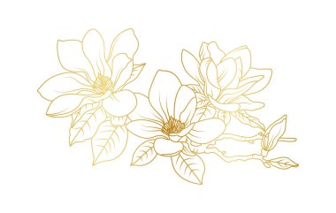 Altın manolya çiçekleri beyaz arka planda izole edilmiş. Davetiye, düğün, duvar kağıdı, baskı şablonu, vektör illüstrasyonu için lüks manolya çiçek tasarımı unsurları.