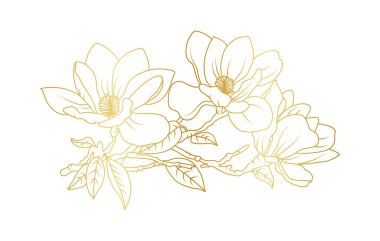 Altın manolya çiçekleri beyaz arka planda izole edilmiş. Davetiye, düğün, duvar kağıdı, baskı şablonu, vektör illüstrasyonu için lüks manolya çiçek tasarımı unsurları.