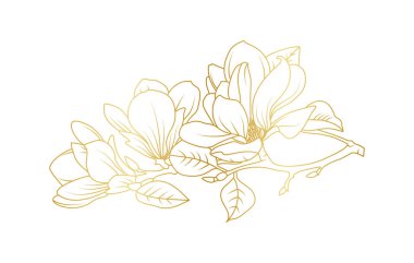 Altın manolya çiçekleri beyaz arka planda izole edilmiş. Davetiye, düğün, duvar kağıdı, baskı şablonu, vektör illüstrasyonu için lüks manolya çiçek tasarımı unsurları.