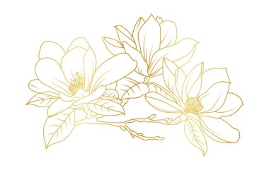 Altın manolya çiçekleri beyaz arka planda izole edilmiş. Davetiye, düğün, duvar kağıdı, baskı şablonu, vektör illüstrasyonu için lüks manolya çiçek tasarımı unsurları.