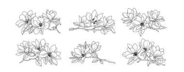 Magnolia çiçek aranjmanı beyaz arka planda. Siluet manolya botanik el çizimi unsuru düğün, davetiye çerçevesi tasarımı, vektör illüstrasyonu.