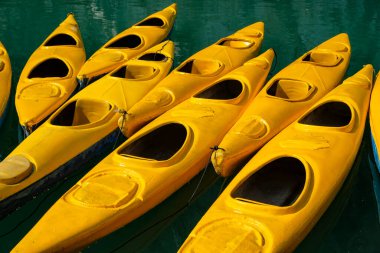 Lan Ha Körfezi 'ndeki sarı kanolar Cat Ba, Vietnam.