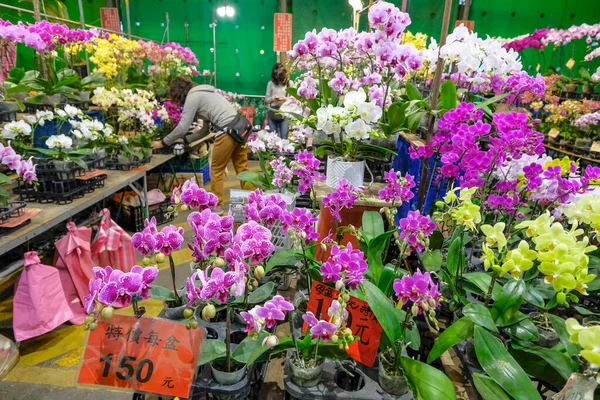 Taipei Taiwan Fevereiro 2023 Orquídeas Mercado Flores Férias Jianguo Taipei — Fotografia de Stock