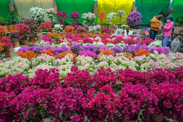 Taipei Taiwan Februari 2023 Kvinna Köper Blommor Jianguo Holiday Flower — Stockfoto