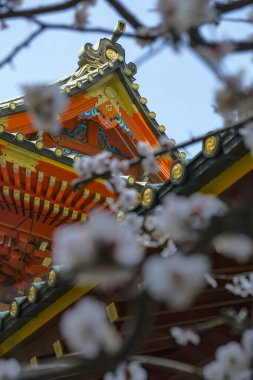 Tokyo, Japonya - 7 Mart 2023: Chiyoda, Tokyo, Japonya 'daki Kanda Myojin Tapınağının Ayrıntıları.