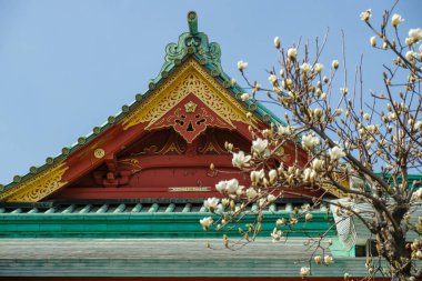 Tokyo, Japonya - 7 Mart 2023: Chiyoda, Tokyo, Japonya 'daki Kanda Myojin Tapınağının Ayrıntıları.
