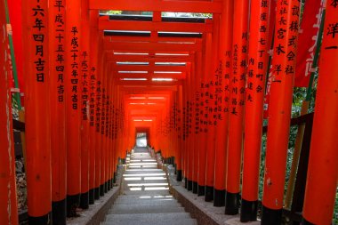 Tokyo, Japonya - 9 Mart 2023: Chiyoda, Tokyo, Japonya 'daki Hile Tapınağı' nın girişindeki Toriis.