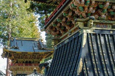 Nikko, Japonya - 11 Mart 2023: Nikko Toshogu, Japonya 'nın Nikko kentinde bulunan bir UNESCO Dünya Mirası Tapınağı.