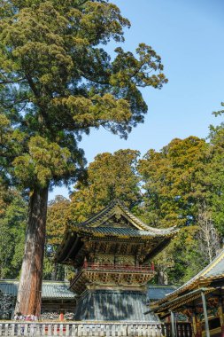 Nikko, Japonya - 11 Mart 2023: Nikko Toshogu, Japonya 'nın Nikko kentinde bulunan bir UNESCO Dünya Mirası Tapınağı.