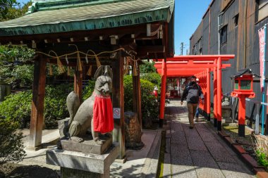 Nagoya, Japonya - 15 Mart 2023: Fujisengen Tapınağı Japonya 'nın Nagoya kentindeki bir Shinto tapınağıdır..