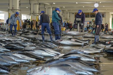 Nachikatsuura, Japonya - 19 Mart 2023: Japonya 'nın Kii Yarımadası' ndaki Nachikatsuura pazar açık artırmasında tunalar taşıyan adamlar.
