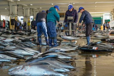 Nachikatsuura, Japonya - 19 Mart 2023: Japonya 'nın Kii Yarımadası' ndaki Nachikatsuura pazar açık artırmasında tunalar taşıyan adamlar.