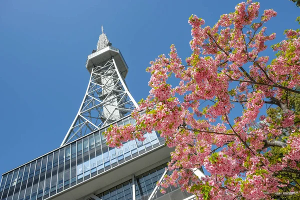 Nagoya Japão Março 2023 Cherry Blossoms Next Chubu Electric Power — Fotografia de Stock